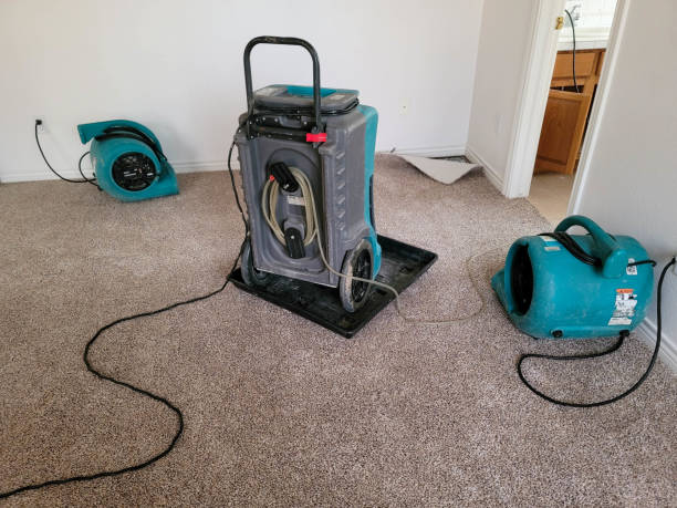 Best 24-hour water damage restoration  in Huntington Station, NY