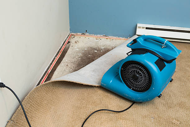 Local water damage restoration in Huntington Station, NY